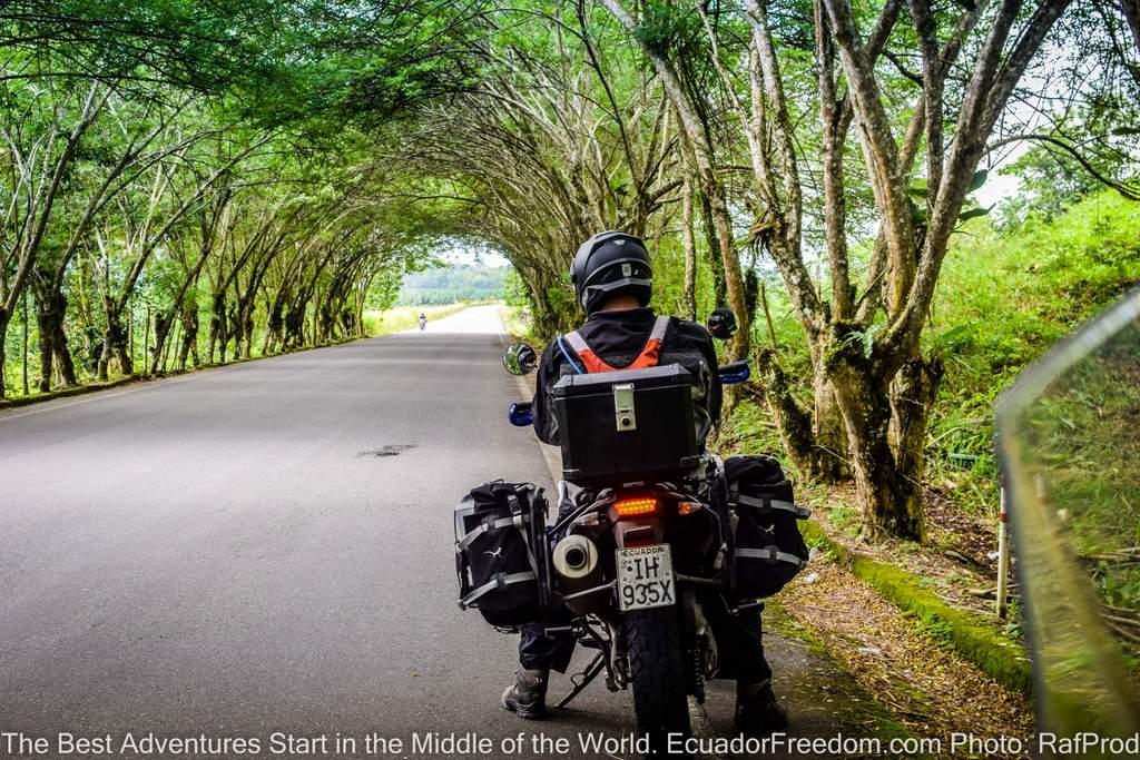 Adventure Motorcycle Tour of Ecuador - Motorcyclist under a tunnel of trees