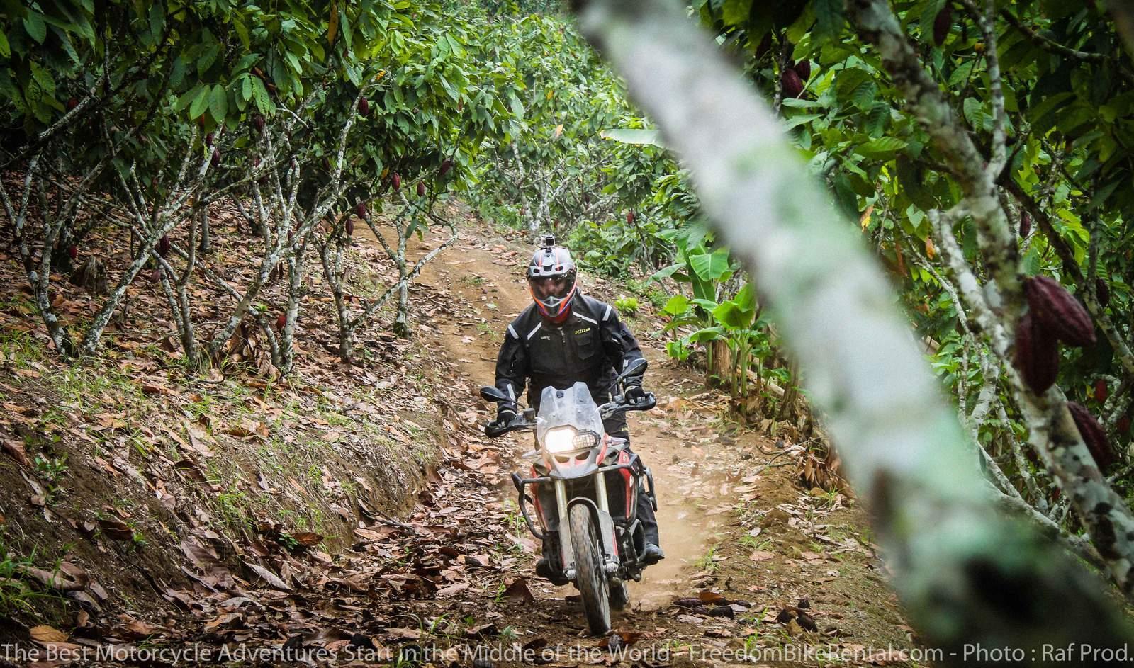 Offroad Motorcycling through chocolate plantation