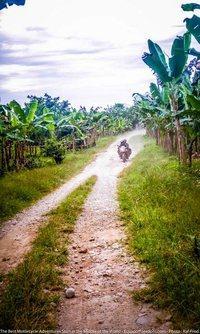 riding through banana plants ecuador motorcycle adventure