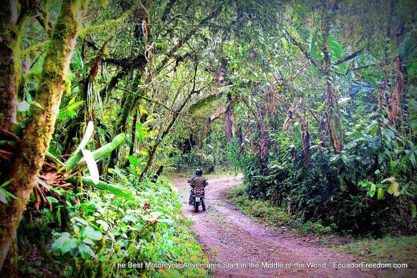 Dirt Bike Deluxe Motorcycle Adventure Tour in Ecuador Cloudforest Mindo