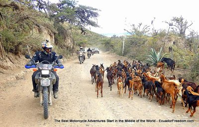 Riding in dry desert to alaburo on dirt bike tour ecuador deluxe