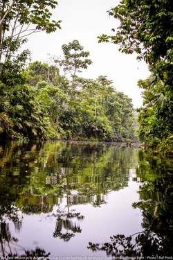 amazon jungle river seen from the bow of a canoe