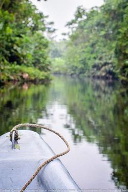 canoe in the amazon basin