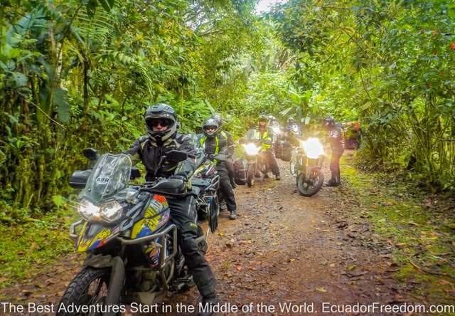 Motorcycle tour in Ecuador cloudforest